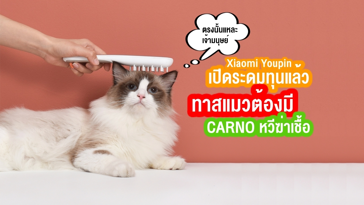 CARNO Pet Sterilizing Care Comb Xiaomi Youpin