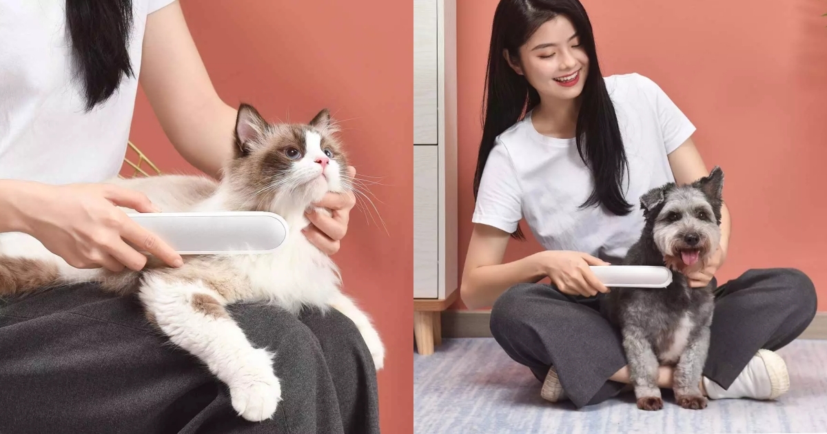 CARNO Pet Sterilizing Care Comb Xiaomi Youpin