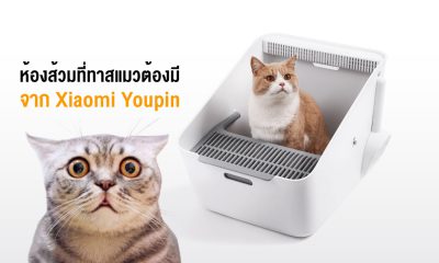 Inductive Cat Toilet from Xiaomi youpin