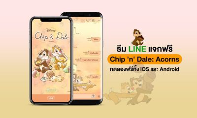 Chip and Dale- Acorns LINE Theme for free