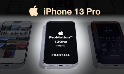 iPhone 13 Pro 120Hz ProMotion Display