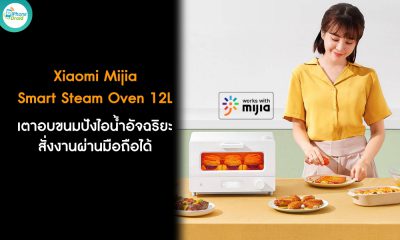 Xiaomi Mijia Smart Steam Oven 12L