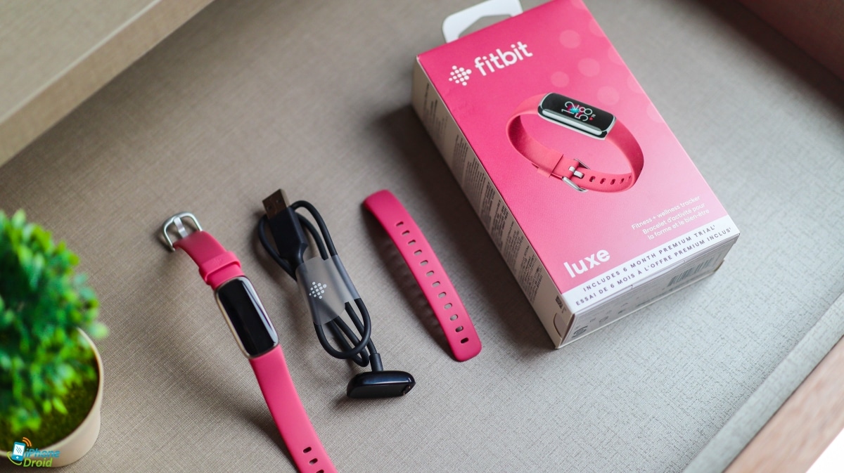 รีวิว Fitbit Luxe อุปกรณ์ตรวจจับอัจฉริยะขนาดเล็ก ฟีเจอร์ครบ