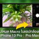 iPhone 13 Pro gets Macro mode toggle in Camera app