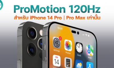 ProMotion Now Expected to Remain Exclusive to iPhone 14 Pro Models