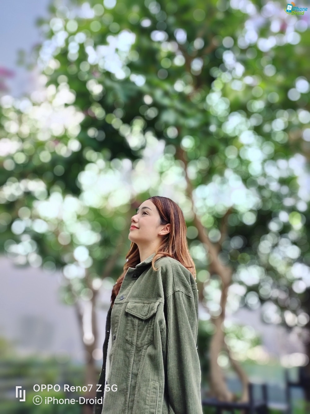 An old pencil drawing of Don Quixote and Sancho Panza sitting on their horses, by Wilhelm Marstrand.