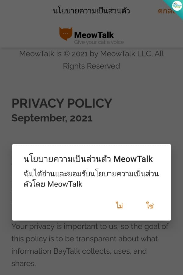MeowTalkApp 2022