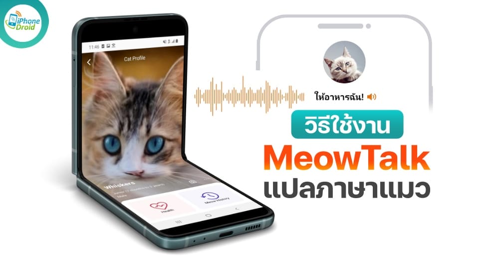 how to use MeowTalk Cat Translator 2022