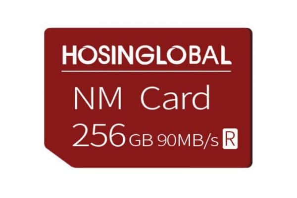 HOSINGLOBAL NM Card