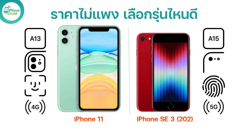 iPhone 11 และ iPhone SE 3 (2022)