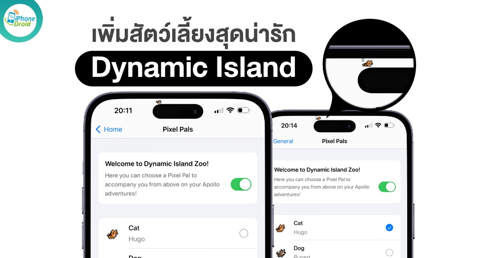 Apollo for Reddit Dynamic Island Zoo
