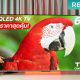 TCL QLED Smart TV Review