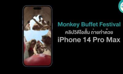 Monkey Buffet Festival