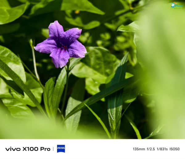 รีวิว vivo X100