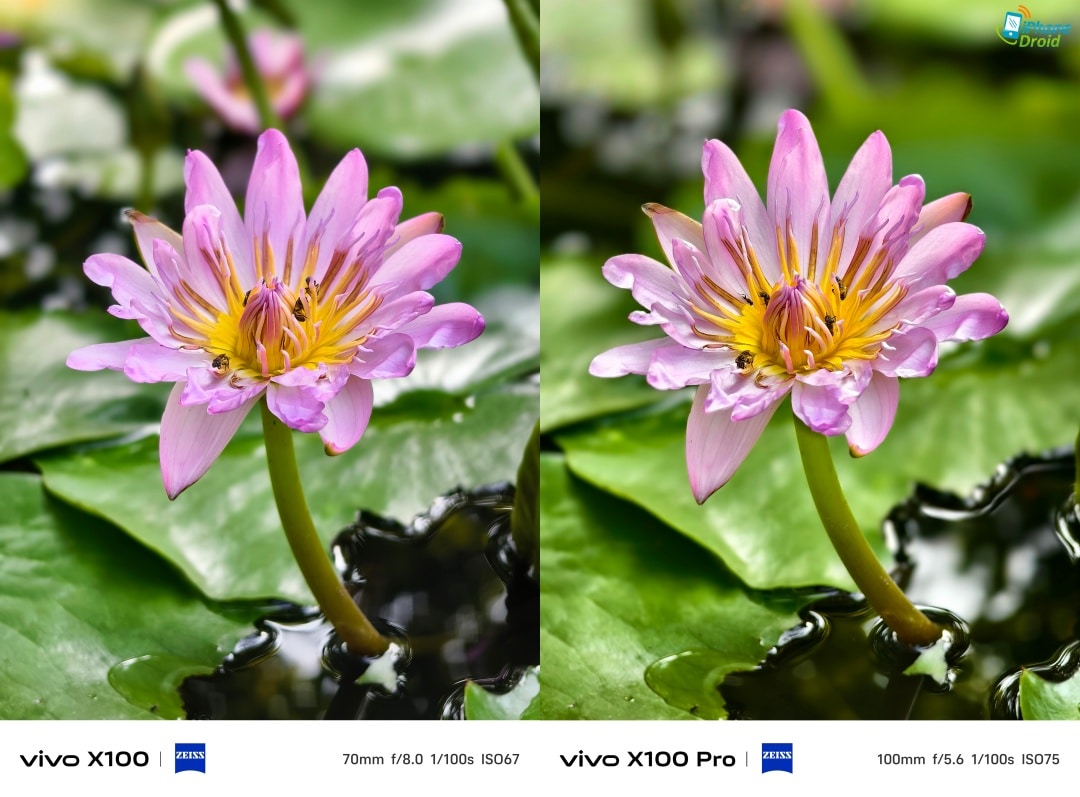 รีวิว vivo X100