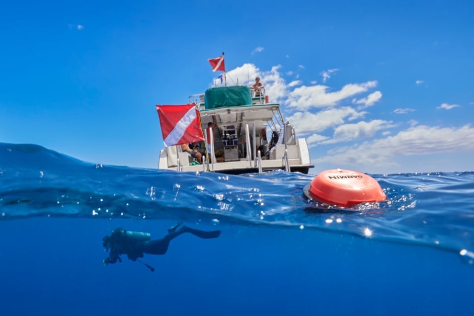 GARMIN launches DESCENT S1 smart buoy