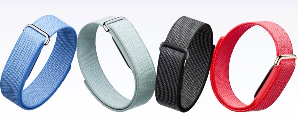 Google Fitbit Air