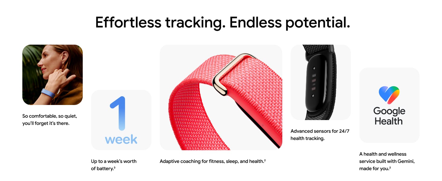 Google Fitbit Air