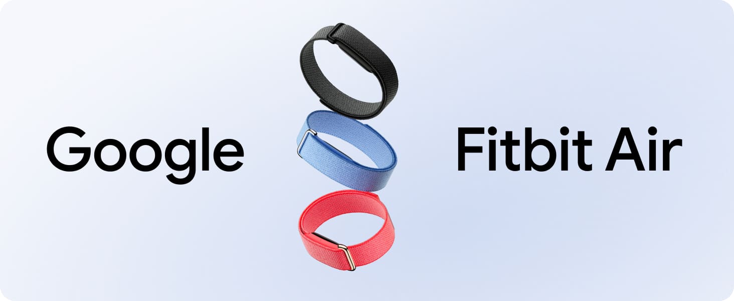 Google Fitbit Air