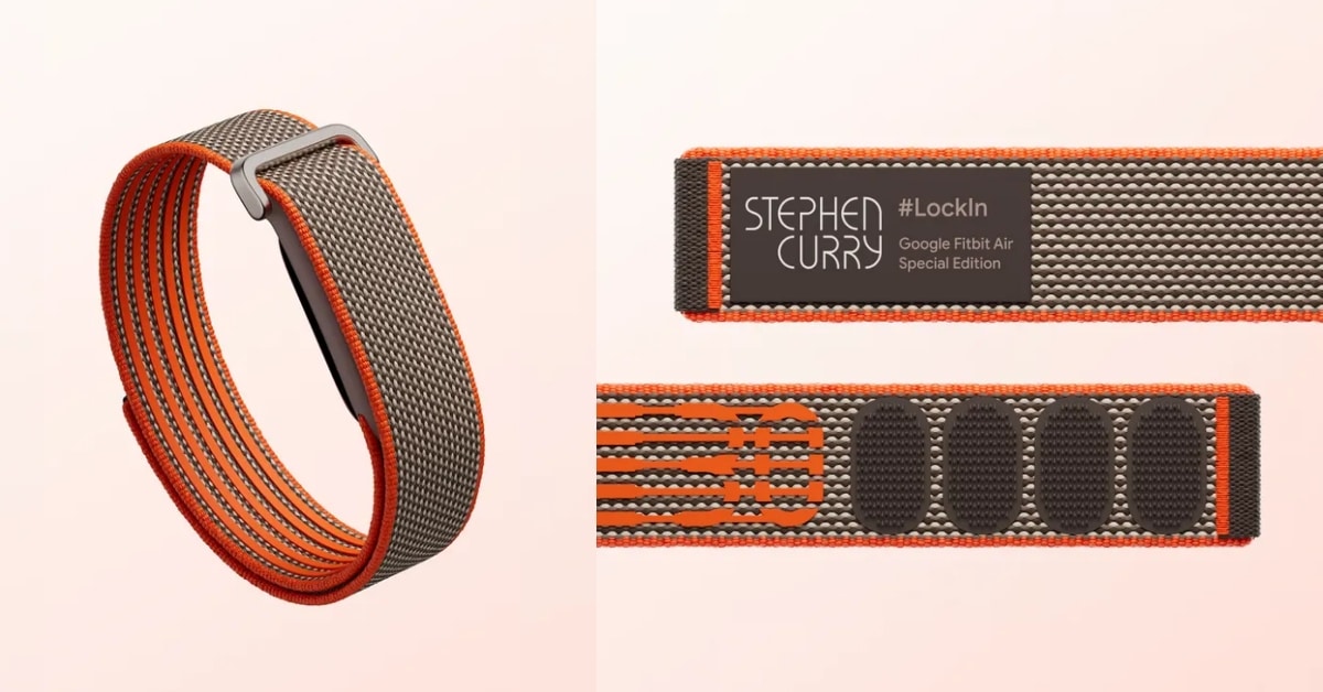Google Fitbit Air FE